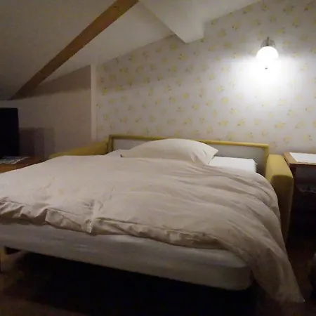 Haus Alpenblick Inkl. Chiemgaukarte Appartement Ruhpolding